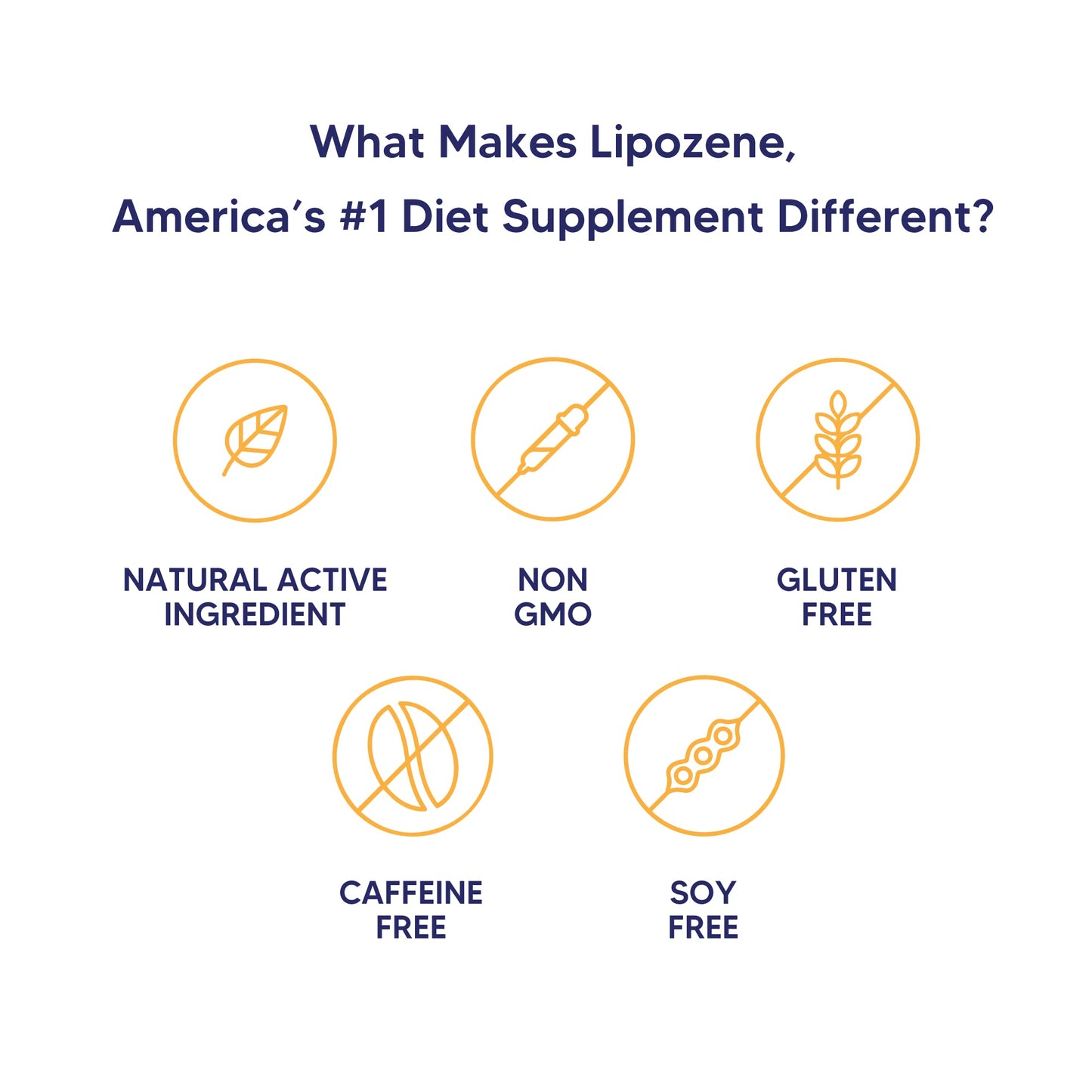 Lipozene Weight-Management Fiber Supplement, 60 Capsules | Non-Stimulant Glucomannan Formula for Healthy Lifestyle Support - Maple Wellness Supplements
