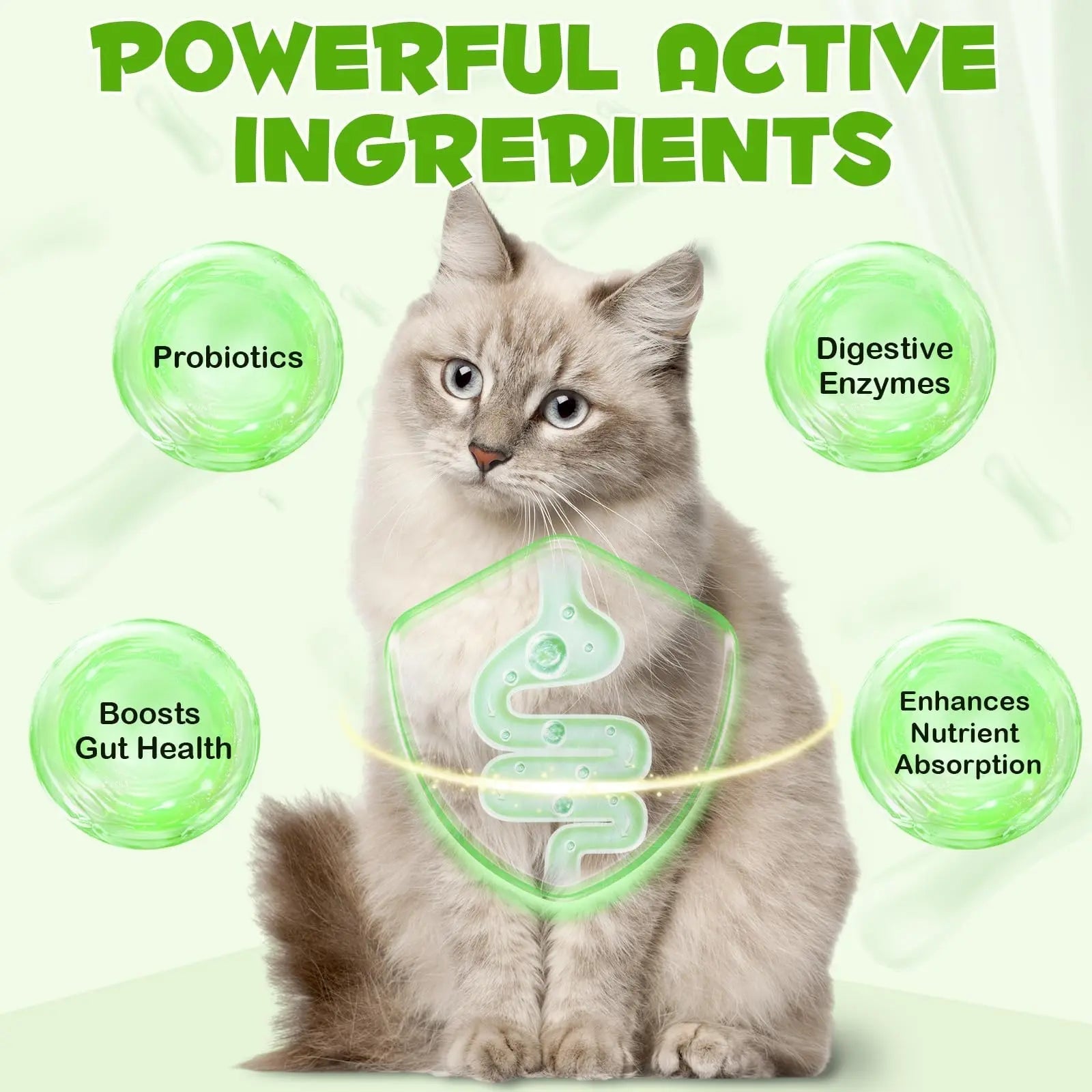 Liquid Cat Probiotic, Natural 3 in 1 Probiotic for Cats, Cat Digestive Support,Gut Health Support,Help with Diarrhea,Gas and Bloating, Cat Herbal Supplements- 60ml - Maple Wellness Supplements