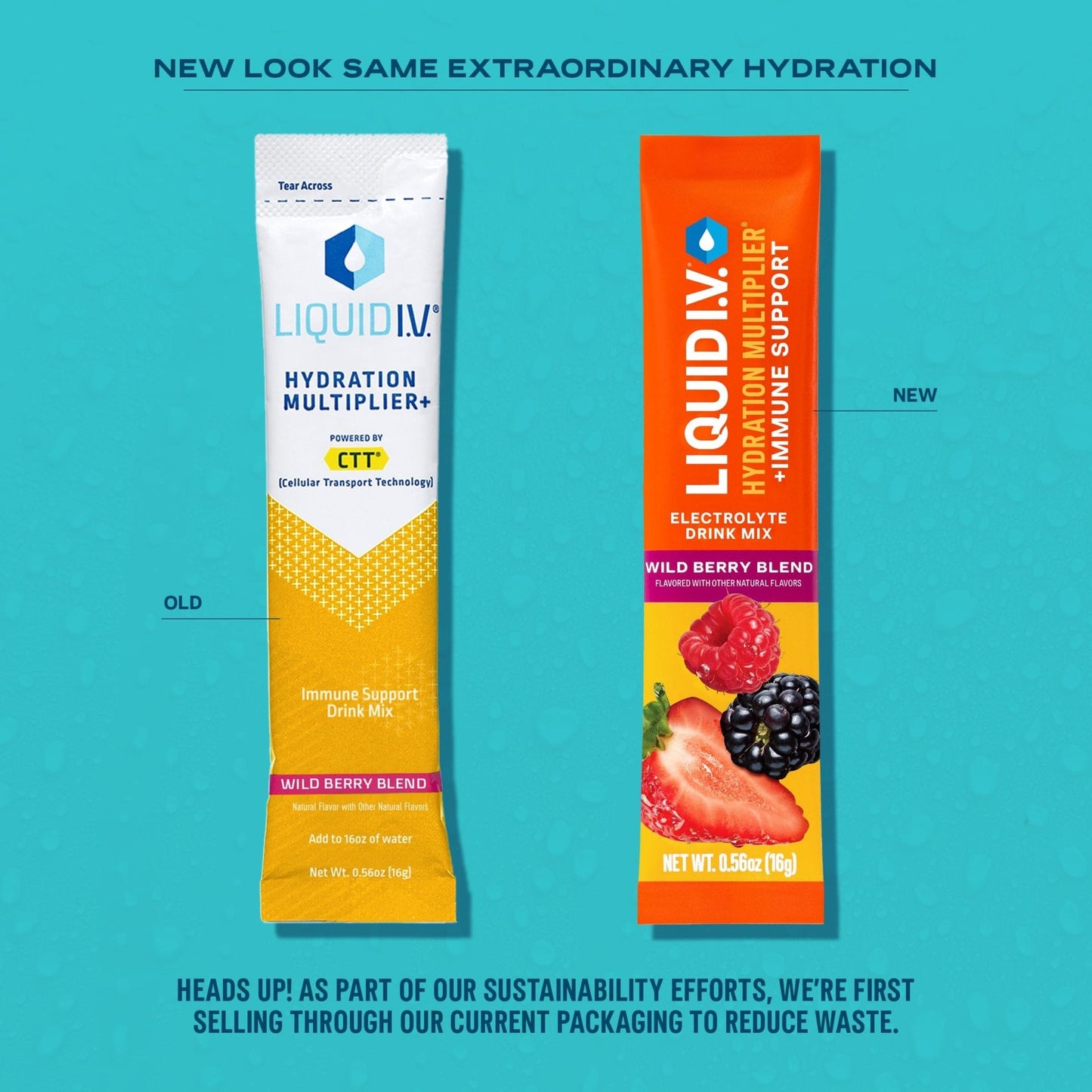 Liquid I.V.® Hydration Multiplier +Immune Support - Wild Berry Blend | Electrolyte Powder Drink Mix | 1 Pack (14 Servings) - Maple Wellness Supplements