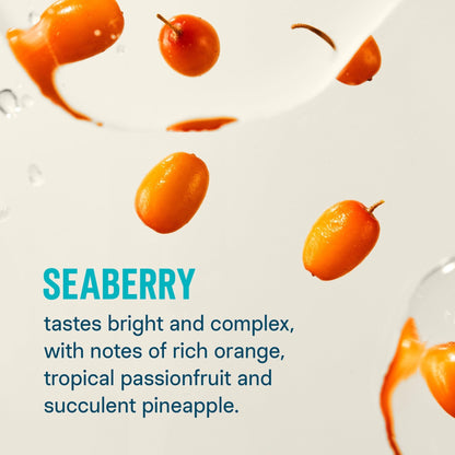 Liquid I.V.® Hydration Multiplier - Seaberry | Electrolyte Powder Drink Mix | 1 Pack (16 Servings) - Maple Wellness Supplements