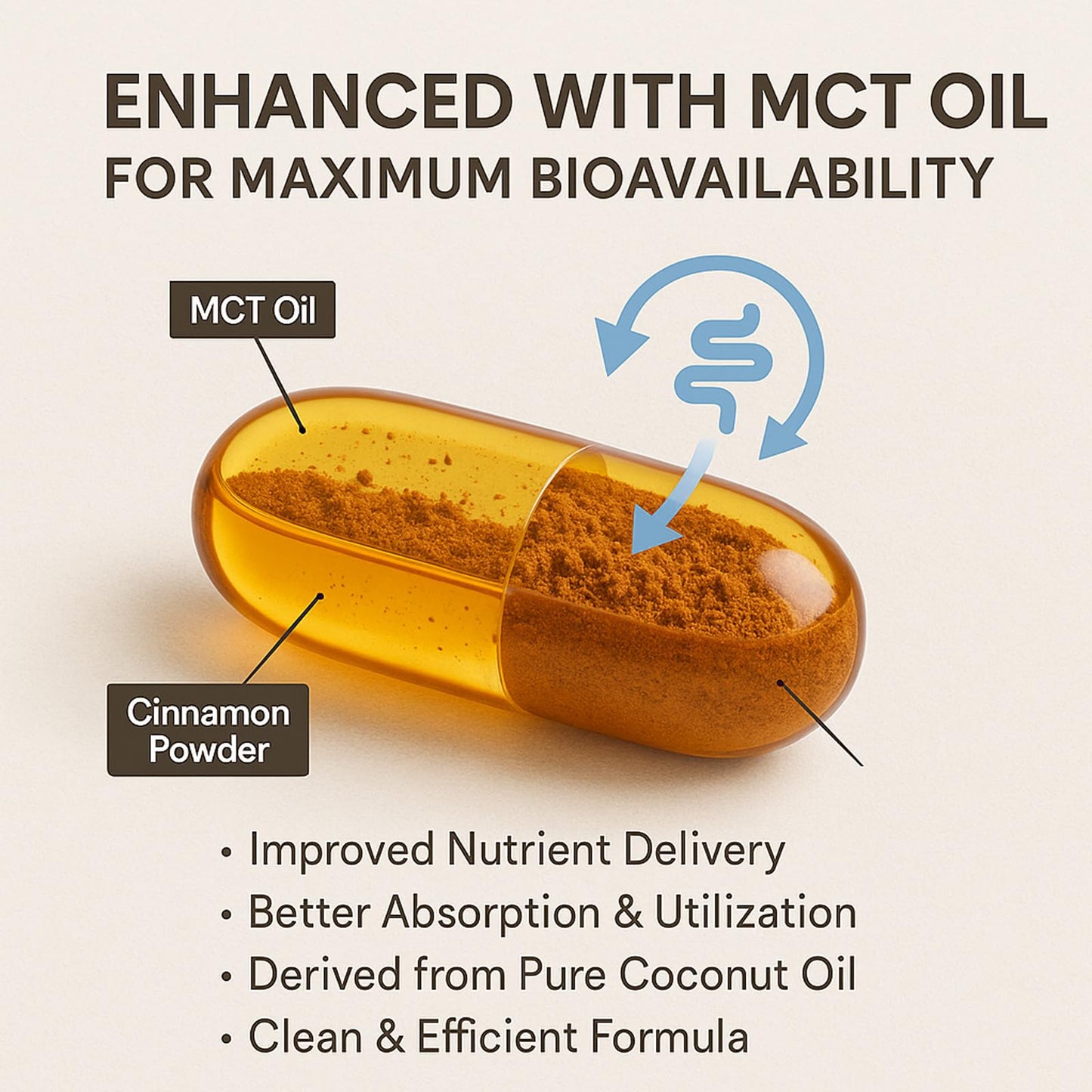 LIRAE Ceylon Cinnamon Softgels with MCT Oil – 300 Softgels – True Ceylon Cinnamon Supplement – Non-GMO, Gluten Free - Maple Wellness Supplements