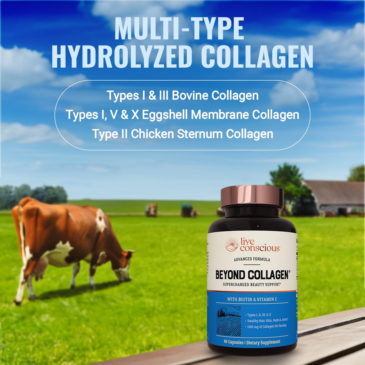 Live Conscious Beyond Collagen Multi Collagen Capsules - Types I, II, III, V & X - Hydrolyzed Blend with Biotin & Vitamin C for Hair, Skin, Nails 90 Capsules - Maple Wellness Supplements