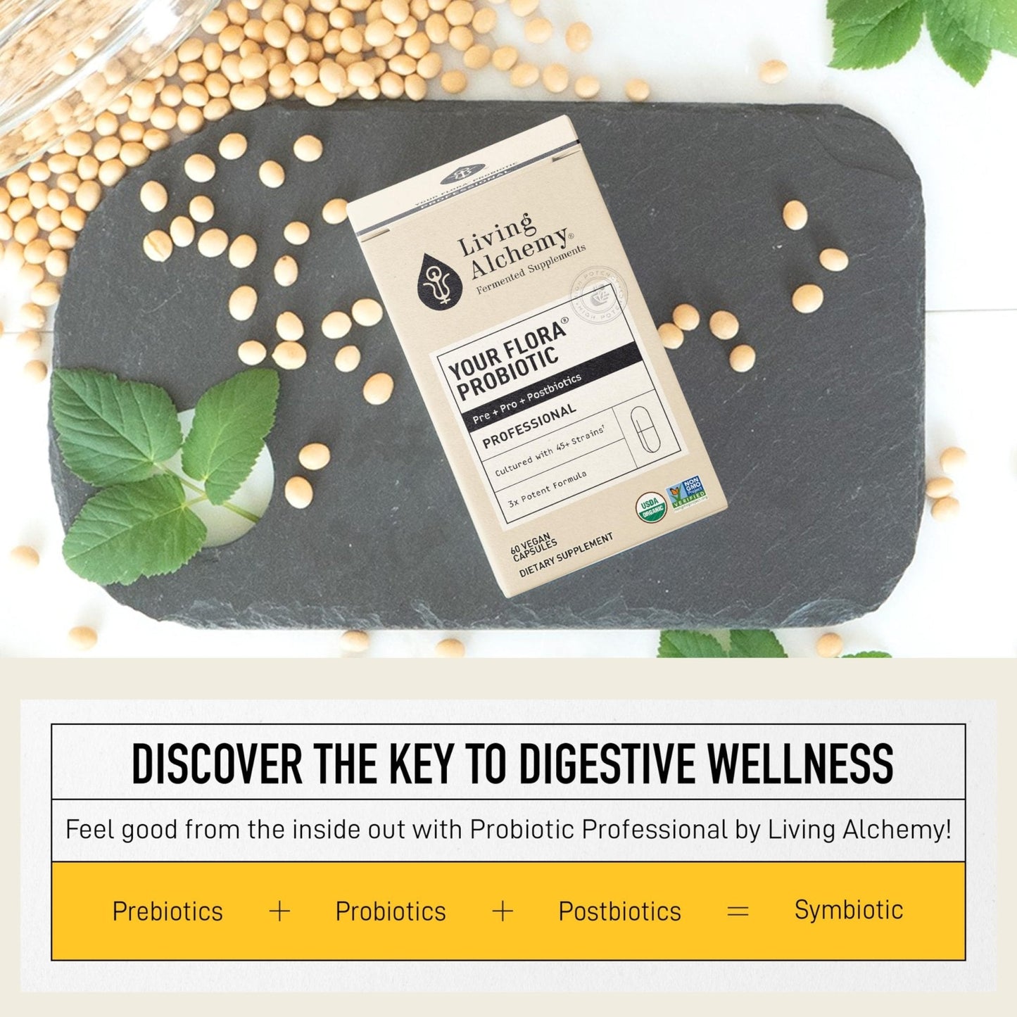 Living Alchemy Gut Health Supplements for Men & Women - Your Flora Probiotic Professional Digestion Supplement with Fermented Soybean, Prebiotics, - Maple Wellness Supplements