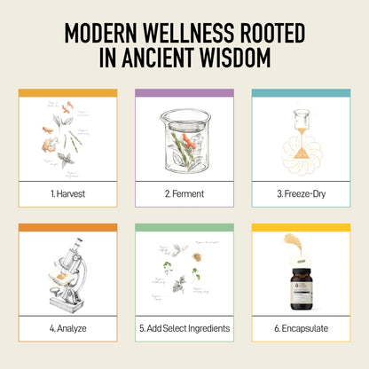 Living Alchemy Gut Health Supplements for Men & Women - Your Flora Probiotic Professional Digestion Supplement with Fermented Soybean, Prebiotics, - Maple Wellness Supplements
