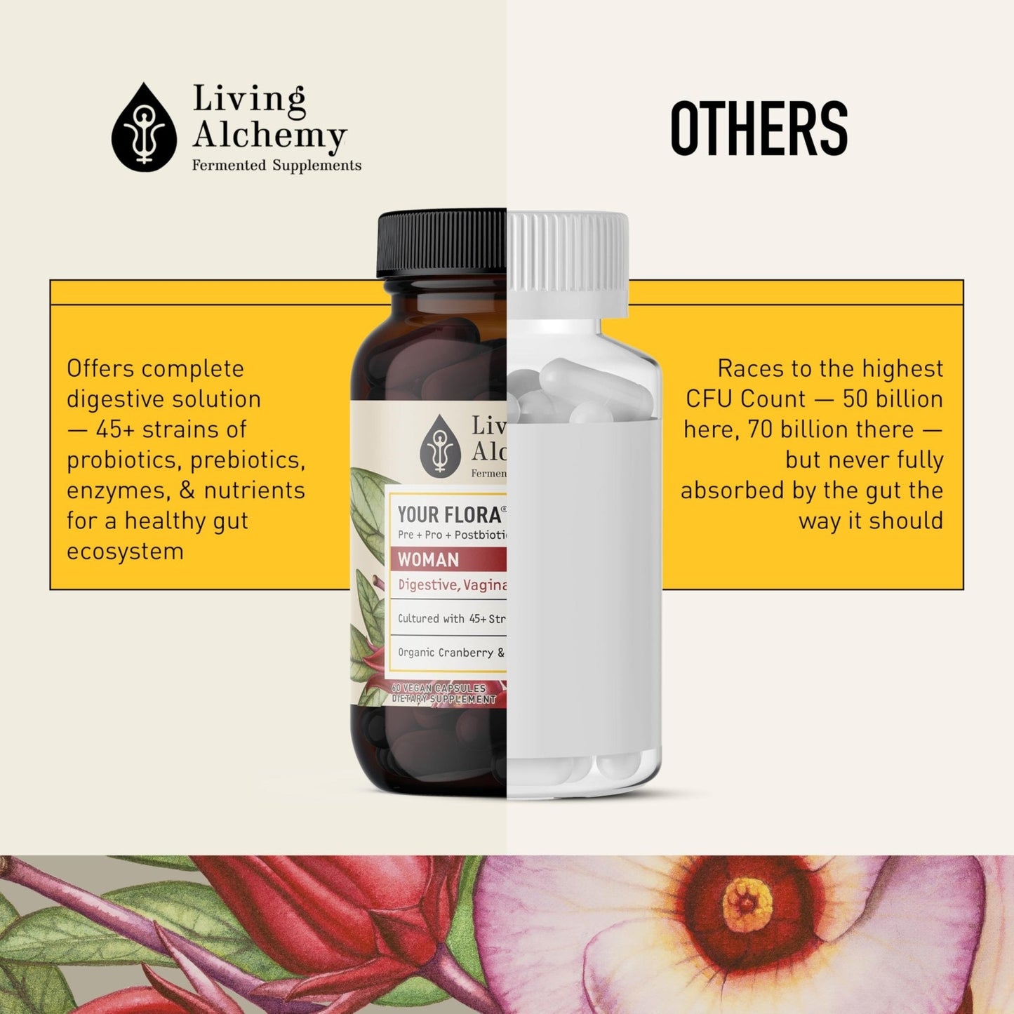 Living Alchemy Gut Health Supplements for Women - Your Flora Probiotics Women with Fermented Soybean, Cranberry Juice, Roselle, Prebiotics, Digestive Enzyme, & Probiotics - Vegan, Non-GMO, 60 Pcs - Maple Wellness Supplements