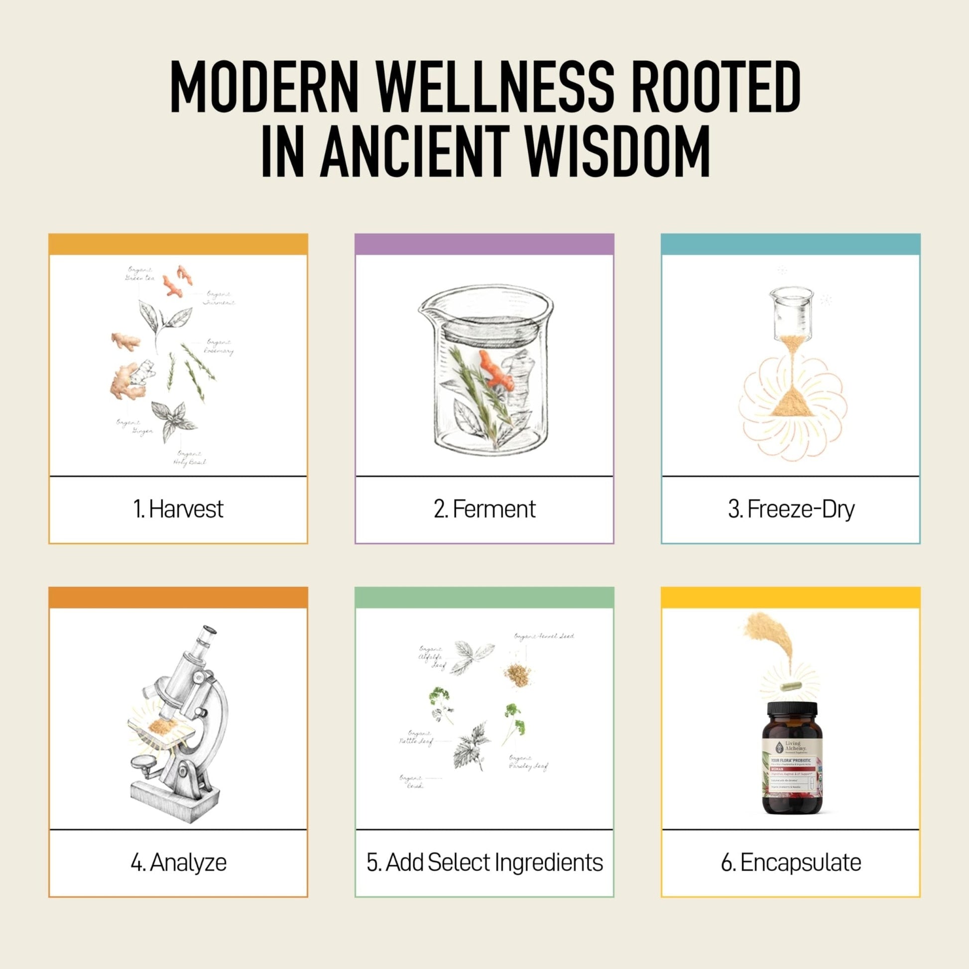 Living Alchemy Gut Health Supplements for Women - Your Flora Probiotics Women with Fermented Soybean, Cranberry Juice, Roselle, Prebiotics, Digestive Enzyme, & Probiotics - Vegan, Non-GMO, 60 Pcs - Maple Wellness Supplements