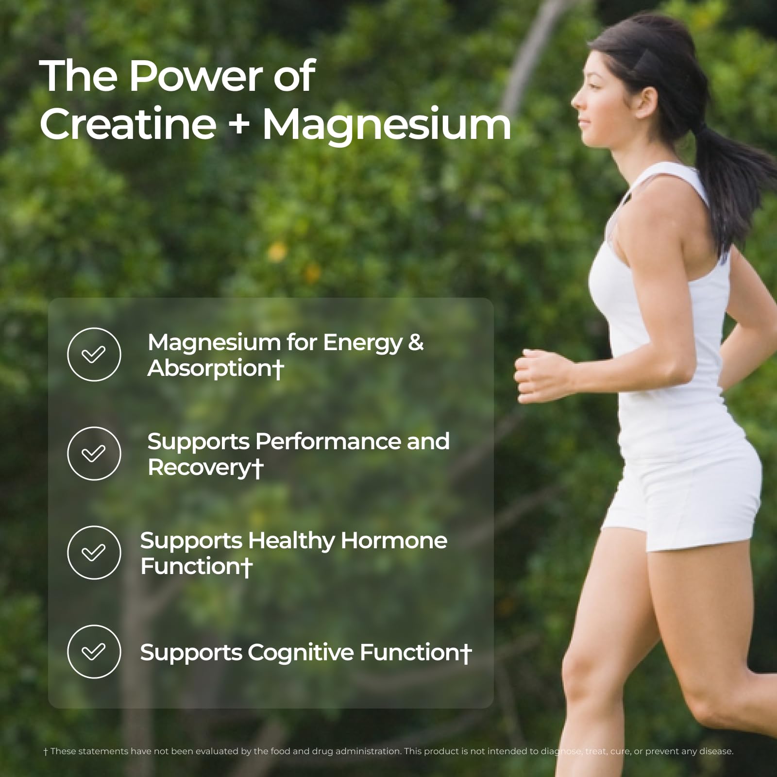 Livingood Daily Creatine + Magnesium Powder, Unflavored | 5g Micronized Creatine Monohydrate with Magnesium for Energy, Muscle Recovery & Performance | 30 Servings - Maple Wellness Supplements