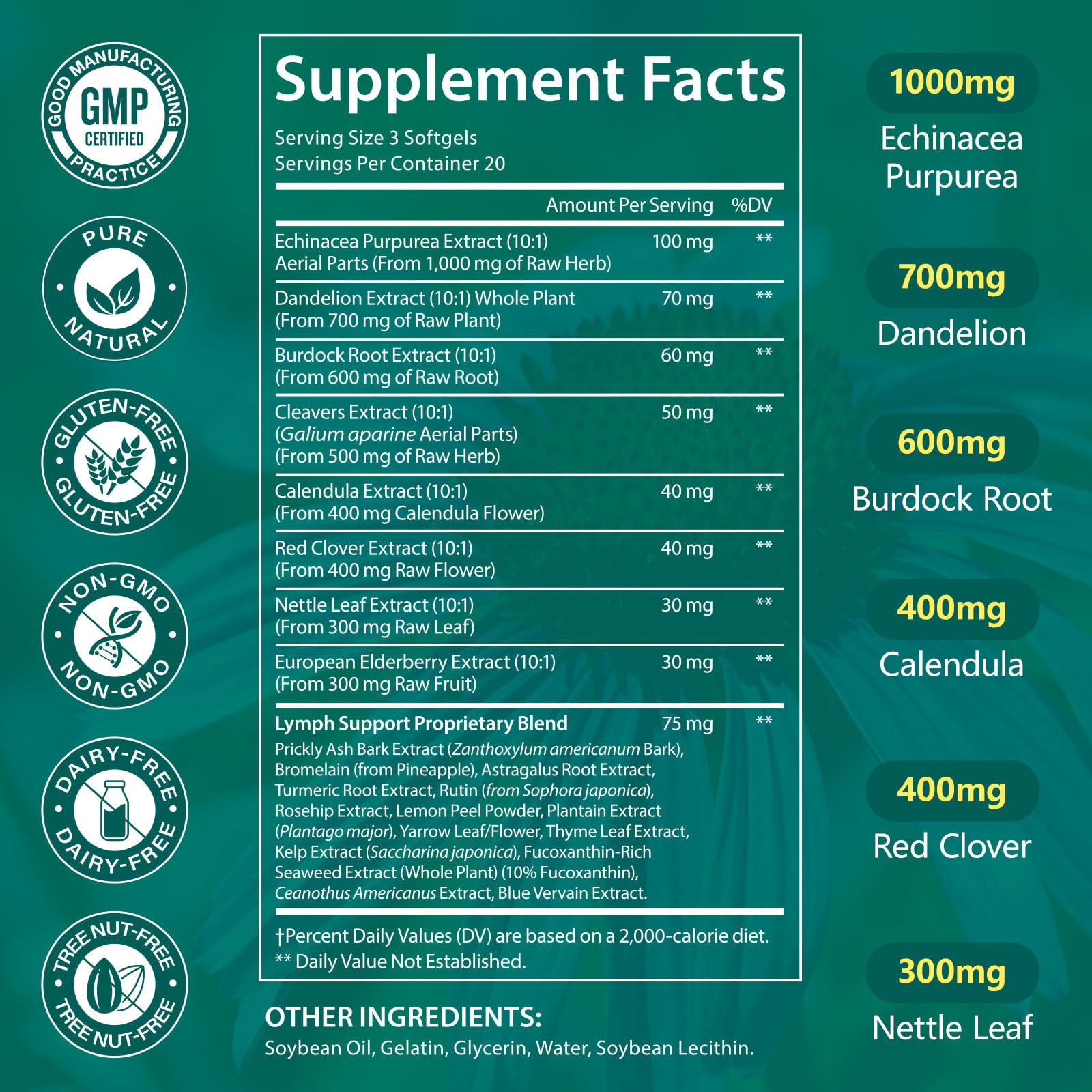 LTQXGT Lymphatic Support Supplement 60 Softgels– Advanced Botanical Complex with Echinacea, Dandelion & Elderberry – Antioxidant-Rich Daily Wellness Formula - Maple Wellness Supplements
