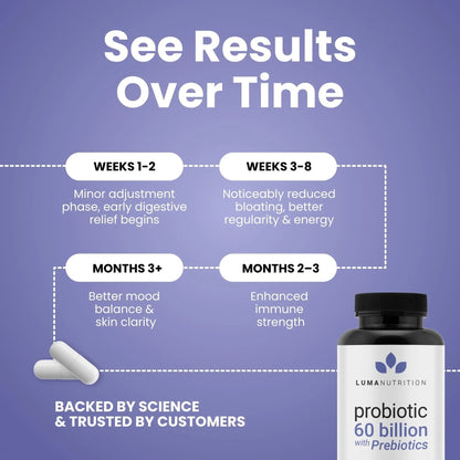 Luma Nutrition Probiotics 60 Billion CFU with Prebiotics - Probiotics for Women and Men - Formulated for Digestive Enzyme Health - Vegan & Gluten-Free - 60 Capsules - Maple Wellness Supplements