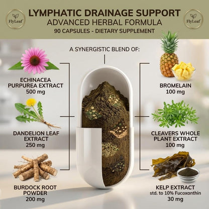 Lymphatic Drainage Capsules - 45-Day Body Reset with 500mg Echinacea & Dandelion - Supports Fluid Balance, Natural Energy & Joint Comfort - Non-GMO, 90 Capsules - Maple Wellness Supplements