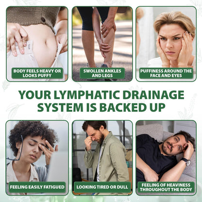 Lymphatic Drainage Capsules Natural Herbal Supplement for Immune Health & Fluid Balance, with Echinacea, Dandelion, and Burdock 60 Capsules - Maple Wellness Supplements