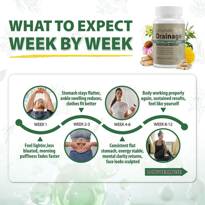 Lymphatic Drainage Capsules Natural Herbal Supplement for Immune Health & Fluid Balance, with Echinacea, Dandelion, and Burdock 60 Capsules - Maple Wellness Supplements