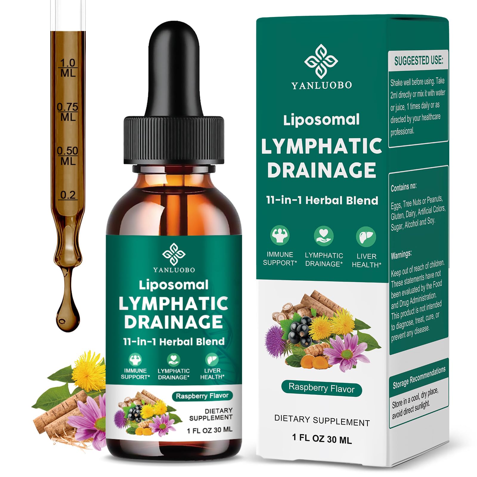 Lymphatic Drainage Drops - 11 in 1 Lymphatic Supplement for Immune, Lymph System & Liver Detox - with Echinacea, Horse Chestnut, Dandelion, Elderberry & Burdock - Raspberry Flavor, Vegan, 2 Fl Oz - Maple Wellness Supplements