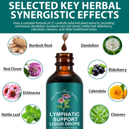 Lymphatic Drainage Drops | 21-in-1 Lymph System Support Supplement | Lymph Cleanse with Turmeric, Echinacea, Elderberry & Dandelion | for Women & Men, 2 fl oz - Maple Wellness Supplements