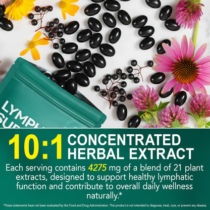 Lymphatic Drainage Supplement – 4,275 mg 21-in-1 Botanical Complex, Echinacea, Burdock Root, Red Clover, Elderberry & Dandelion, Supports Natural Detox & Healthy Circulation, 240 Softgels - Maple Wellness Supplements