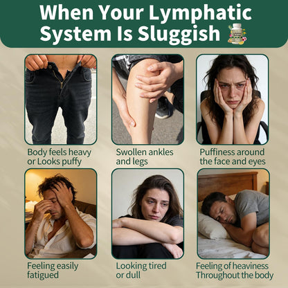 Lymphatic Drainage Supplement – Natural Herbal Formula with Dandelion, Burdock & Echinacea, Supports Fluid Balance, Immune Health & Cellulite Reduction – 60 Capsules - Maple Wellness Supplements