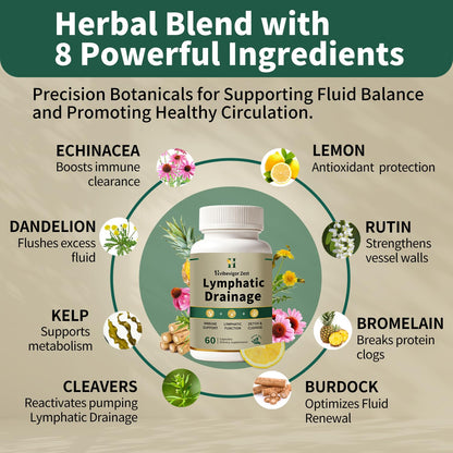 Lymphatic Drainage Supplement – Natural Herbal Formula with Dandelion, Burdock & Echinacea, Supports Fluid Balance, Immune Health & Cellulite Reduction – 60 Capsules - Maple Wellness Supplements