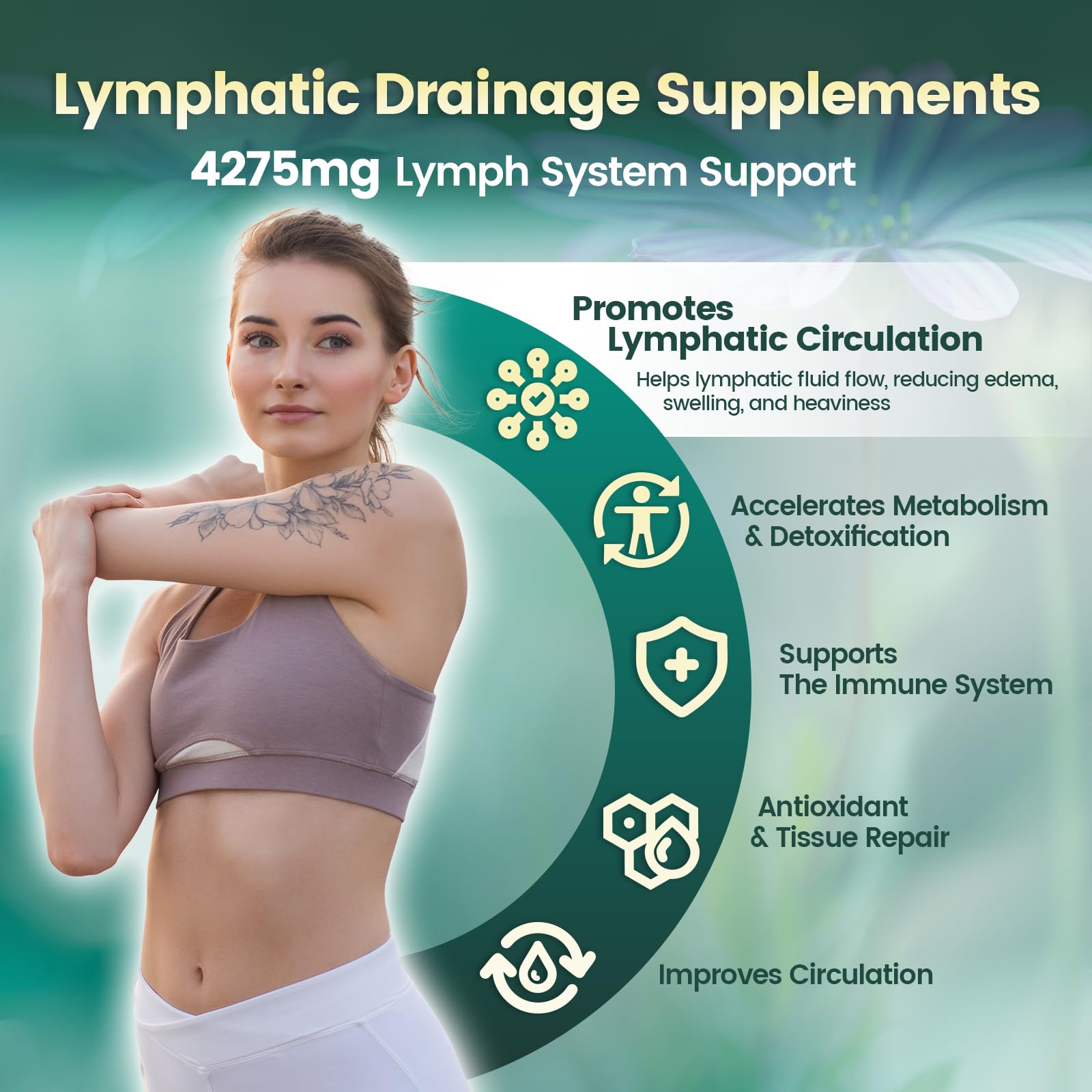 Lymphatic Drainage Supplements, 240 Softgels, Lymph System Support Supplement for Women & Men, 21-in-1 Herbal Blend with Echinacea, Dandelion, Burdock - Maple Wellness Supplements