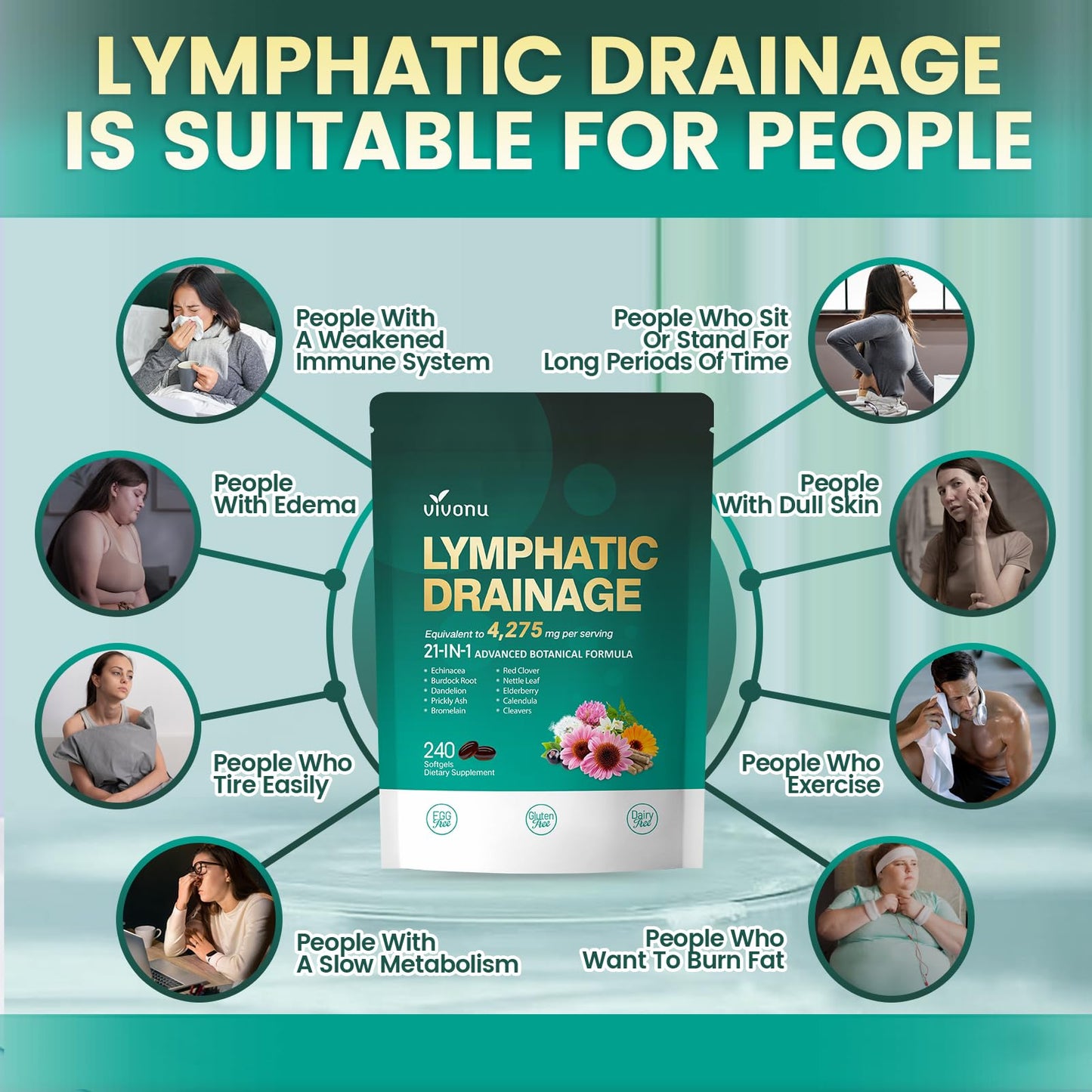 Lymphatic Drainage Supplements, 240 Softgels, Lymph System Support Supplement for Women & Men, 21-in-1 Herbal Blend with Echinacea, Dandelion, Burdock - Maple Wellness Supplements