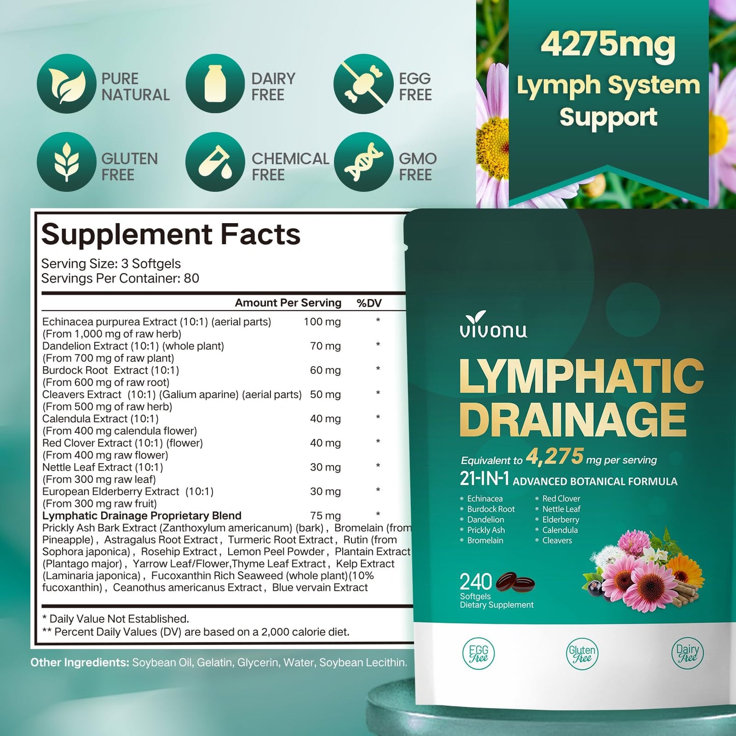 Lymphatic Drainage Supplements, 240 Softgels, Lymph System Support Supplement for Women & Men, 21-in-1 Herbal Blend with Echinacea, Dandelion, Burdock - Maple Wellness Supplements