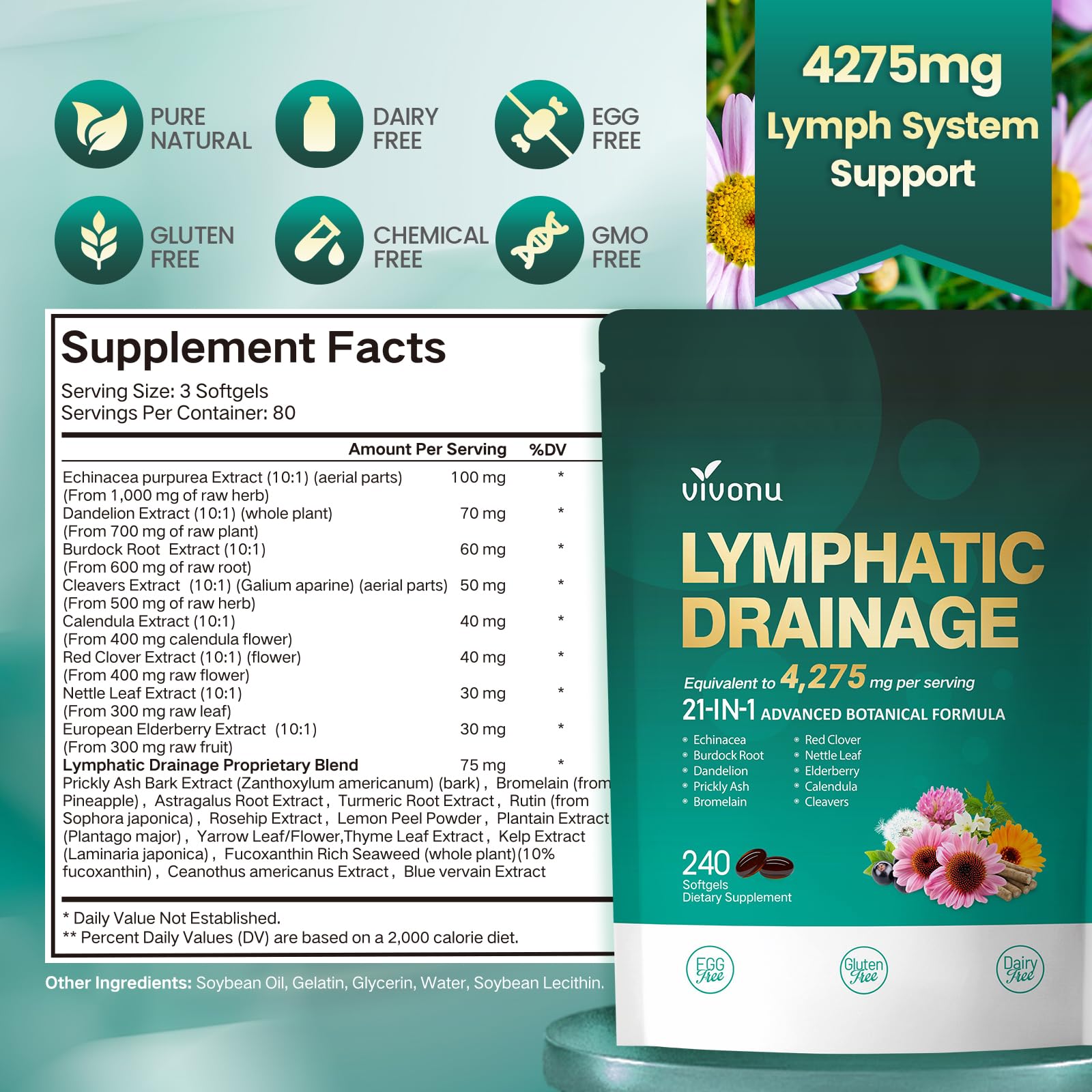 Lymphatic Drainage Supplements, 240 Softgels, Lymph System Support Supplement for Women & Men, 21-in-1 Herbal Blend with Echinacea, Dandelion, Burdock - Maple Wellness Supplements
