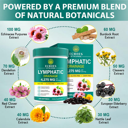 Lymphatic Drainage Supplements, 4275mg Lymph System Support Supplement for Women & Men, Daily Wellness Support, 21-in-1 Herbal Blend with Echinacea, Dandelion, Burdock, Turmeric & More, 240 Softgels - Maple Wellness Supplements