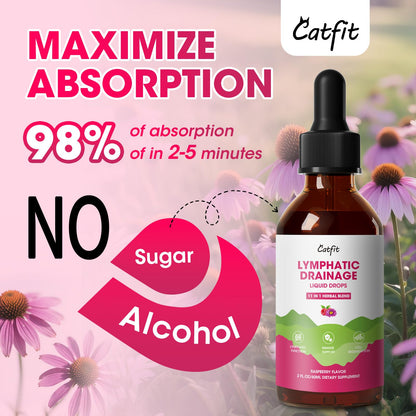 Lymphatic Drainage Supplements Drops for Immune, Lymph System Support, Cleanse & Detox, Liver Health with Echinacea,Elderberry,Cleavers Herb,Burdock, Calendula, Non-GMO, Raspberry Flavor, 2 Fl Oz - Maple Wellness Supplements