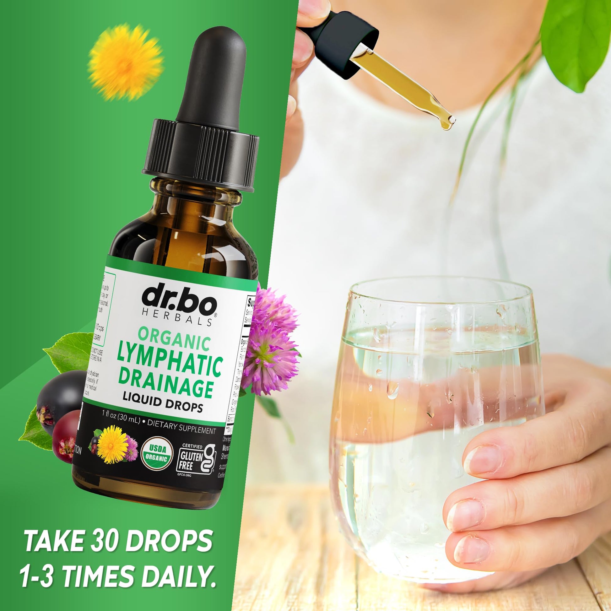 Lymphatic Drainage Supplements Drops - Organic Lymphatic Support Liquid Drops Cleanse with Echinacea, Lymph System Support Supplement, Lymph Node Detox Cleanse System Drainage - 1oz Non-GMO Organics - Maple Wellness Supplements