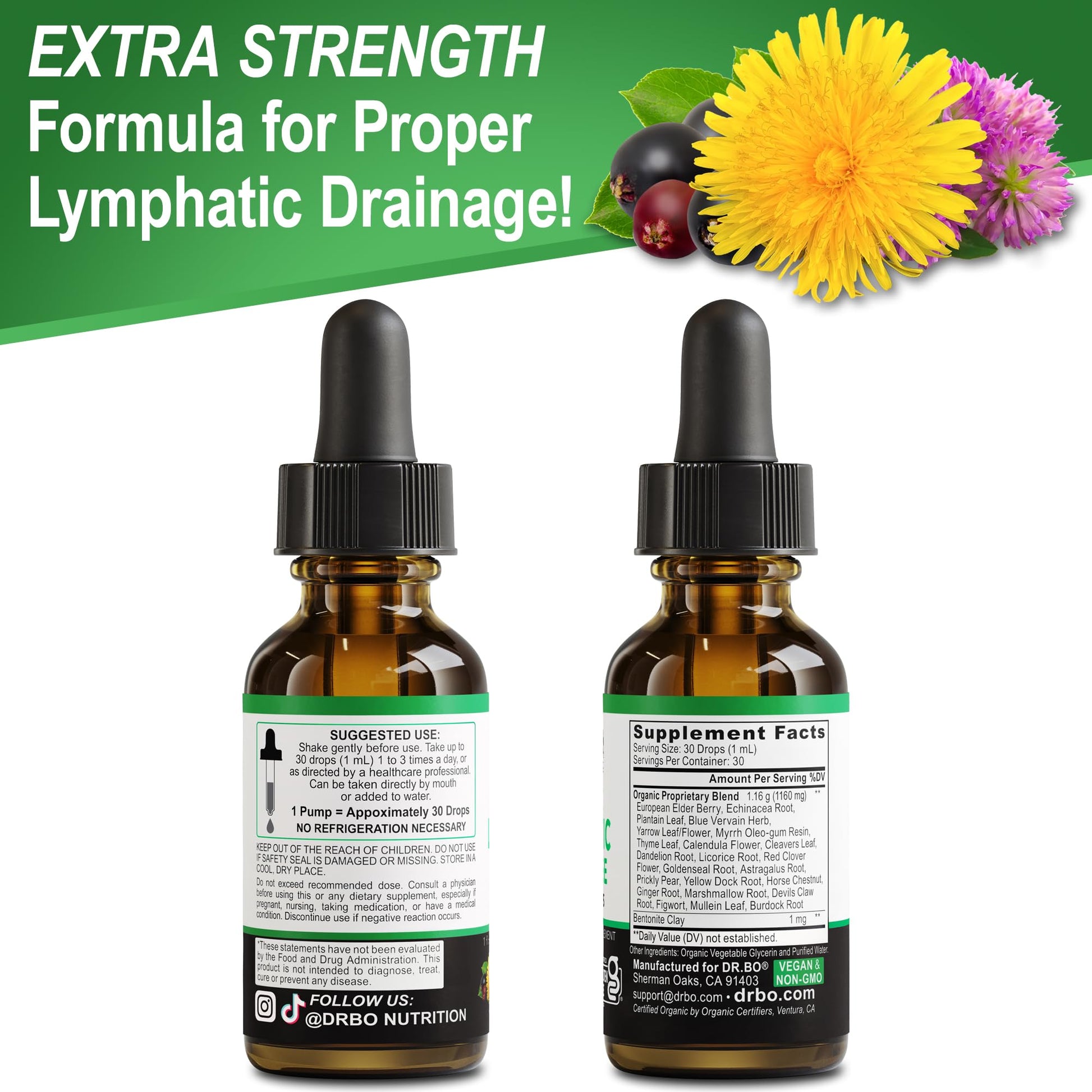 Lymphatic Drainage Supplements Drops - Organic Lymphatic Support Liquid Drops Cleanse with Echinacea, Lymph System Support Supplement, Lymph Node Detox Cleanse System Drainage - 1oz Non-GMO Organics - Maple Wellness Supplements