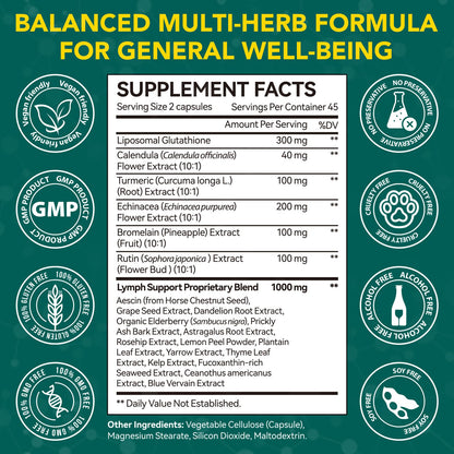 Lymphatic Drainage Supplements, Lymphatic Drainage Capsules Supplement - Wellness Complex Formula 21 in 1 - Aescia, Turmeric, Bromelain, Echinacea & More - Lymph System Support Capsule Easy Store - Maple Wellness Supplements