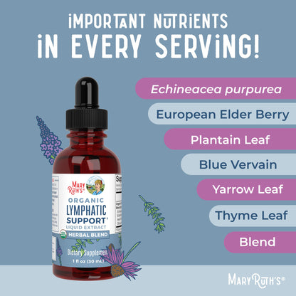Lymphatic Support Drops by MaryRuth's | USDA Organic Lymphatic Cleanse Immune Support Supplement| Lymphatic Support with Echinacea & Elderberry | Blue Vervain | Vegan | Non-GMO | 30 Servings - Maple Wellness Supplements
