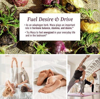 Maca Root Gummies with Natural Peach Flavor | Drive, Performance & Energy Support | Hormone Balance for Women and Men | Herbal Supplements 200MG Extra Strength | Vegetarian, Non-GMO | 60 Gummies - Maple Wellness Supplements