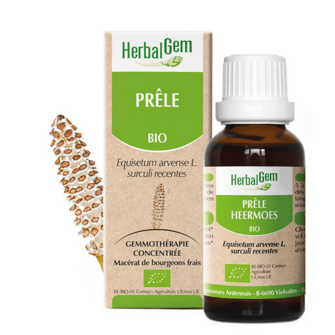 Macérat mère de Prêle BIO 30 ml HERBALGEM - Maple Wellness Supplements