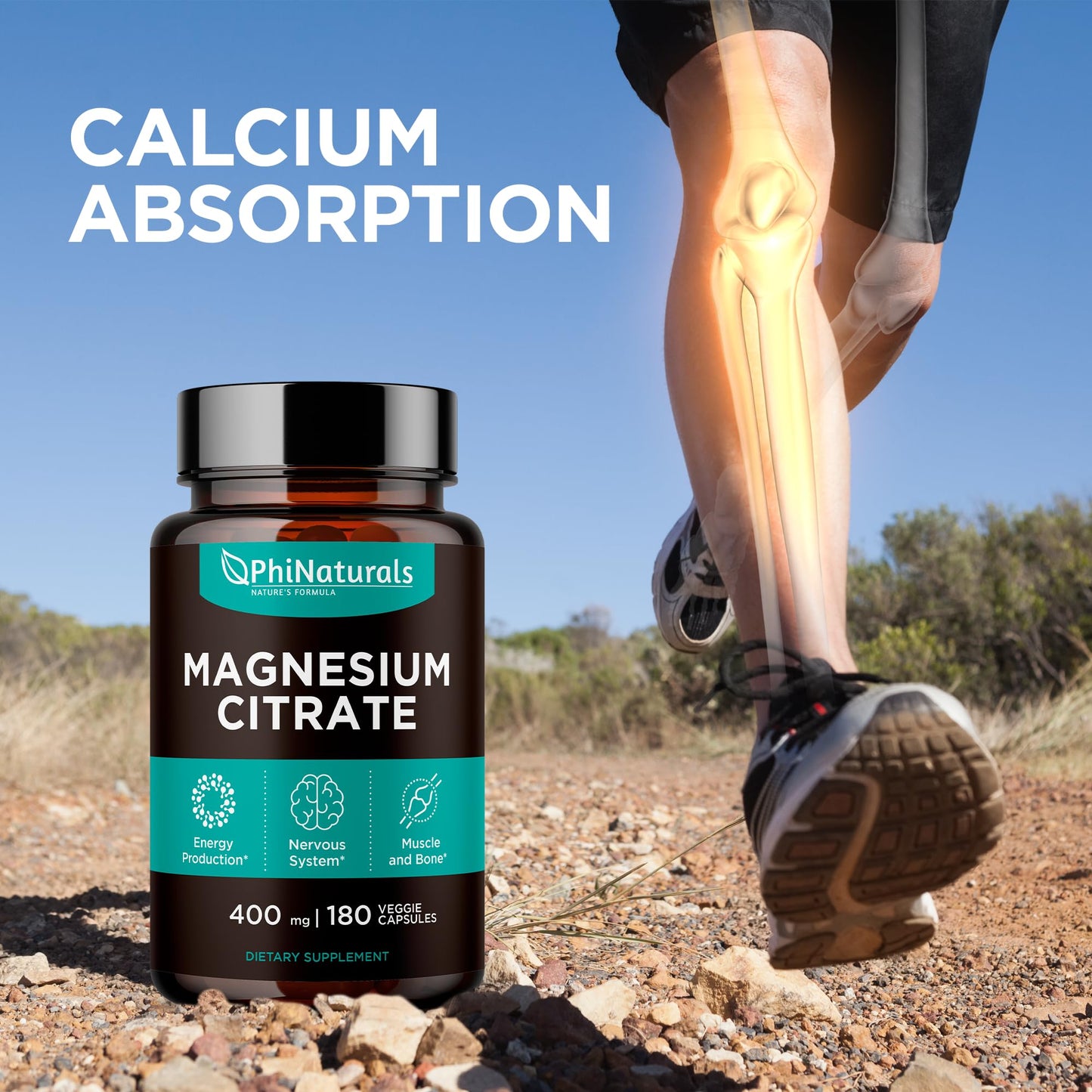 Magnesium Citrate Powder Capsules 400mg - 180 Count Veg Caps - PhiNaturals Supplements - Nervous System Support and Enzyme Function - Maple Wellness Supplements