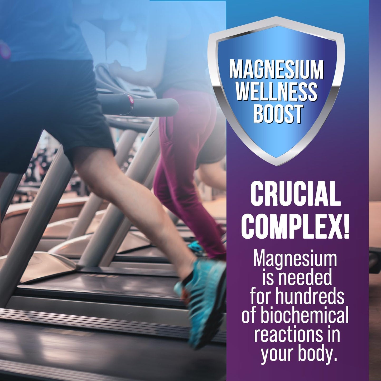 Magnesium Complex Capsules - 500mg per Serving Magnesium - High Absorption Chelated Mineral Supplement - with Oxide, Glycinate, Malate, Citrate for Muscle Bone and Heart Health Support - 120 Capsules - Maple Wellness Supplements