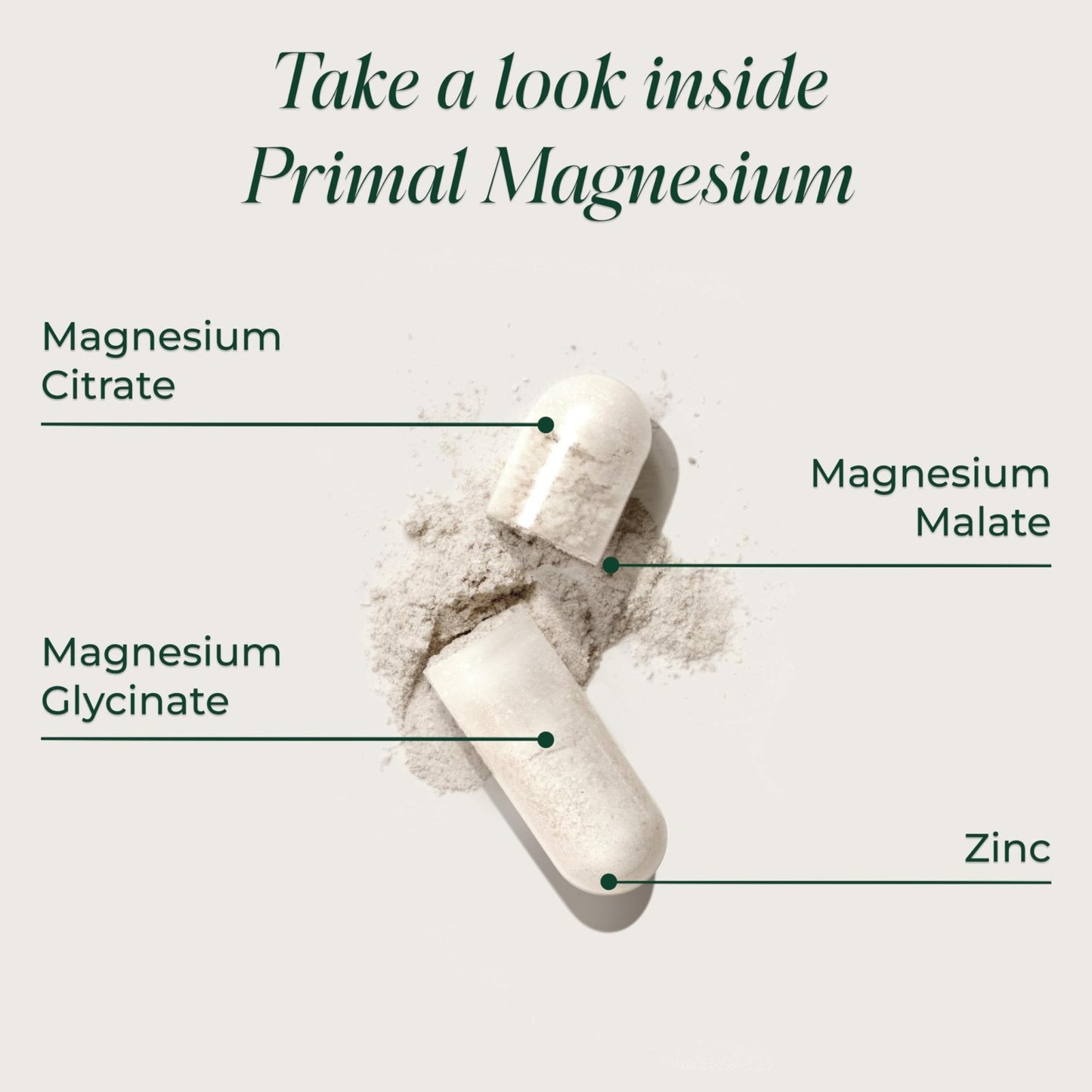Magnesium Supplement Complex 310mg by Primal Harvest with Magnesium Glycinate, Citrate, Malate, and Zinc 120 Capsules - Maple Wellness Supplements
