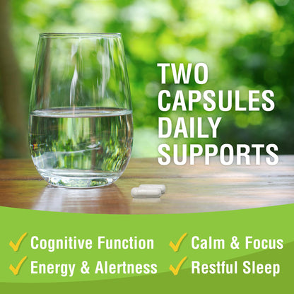 Magtein - Magnesium L-Threonate Supplement, Memory, Focus, Sleep & Brain Health Formula for Men & Women, Cognitive Support for Adults - Maple Wellness Supplements