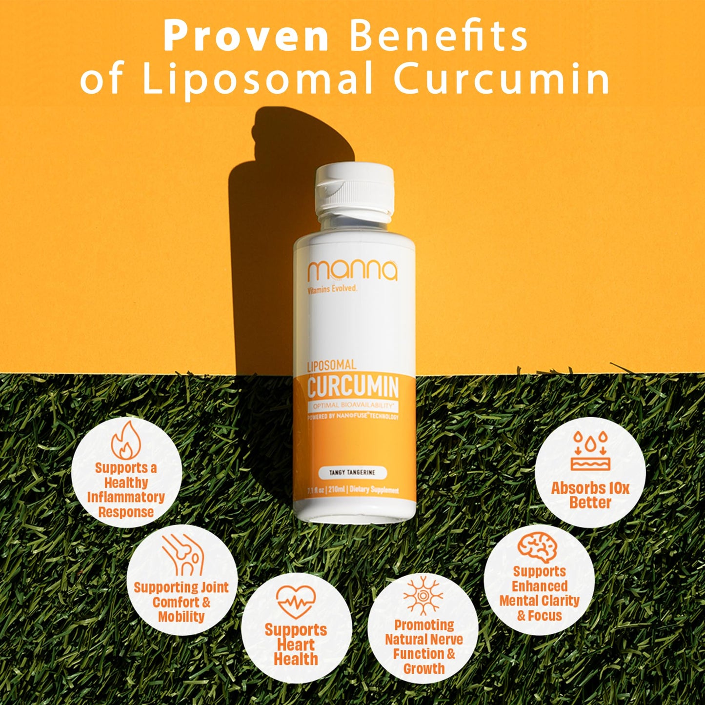 Manna Vitamins Evolved Liposomal Liquid Curcumin for Advanced Absorption Best Turmeric Supplement for Daily Joint & Immune Health Support - Vegan, Non-GMO, 95% Curcuminoids (1 Pack) - Maple Wellness Supplements