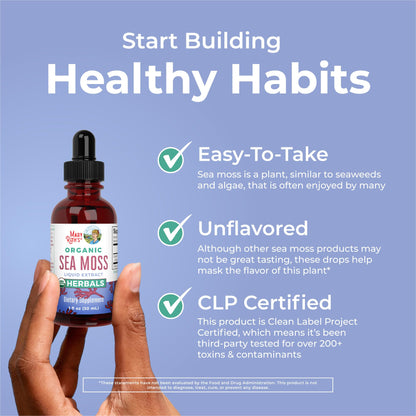 MaryRuth Organics Irish Sea Moss Liquid Drops | Chondrus Crispus | Wild Harvested | Organic Irish Moss Formulated for Adults & Kids Ages 14+ | Unflavored | Sugar Free | Vegan | Non-GMO | 1 Fl Oz - Maple Wellness Supplements