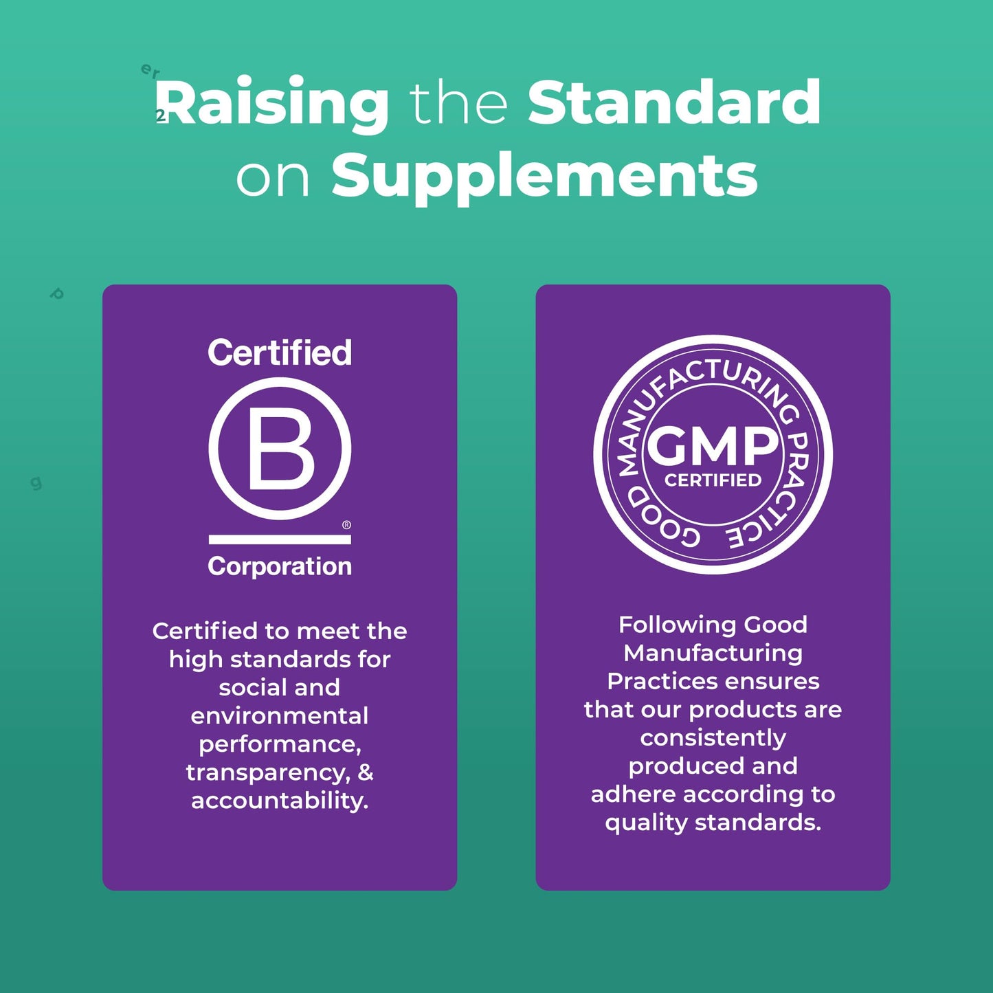 MaryRuth Organics Kids Immune Support Gummies | USDA Organic | Vitamin C, Zinc, and Elderberry Gummies for Kids| Immune Support for Ages 4+ | Vegan - Maple Wellness Supplements