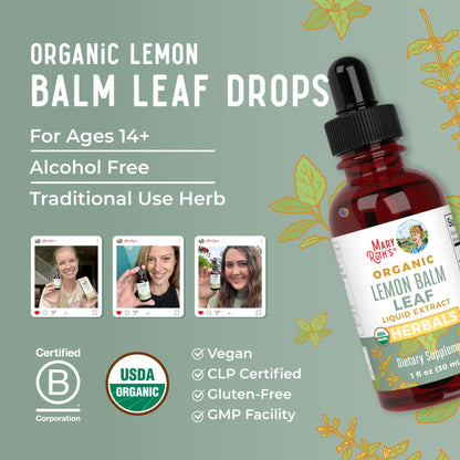 MaryRuth Organics Lemon Balm Leaf Liquid Extract | Mood Support | Relaxation | Calming | Nervine Herbal | Lemon Balm Tincture | USDA Organic | Vegan | Non-GMO | Gluten Free | 1 Fl Oz - Maple Wellness Supplements