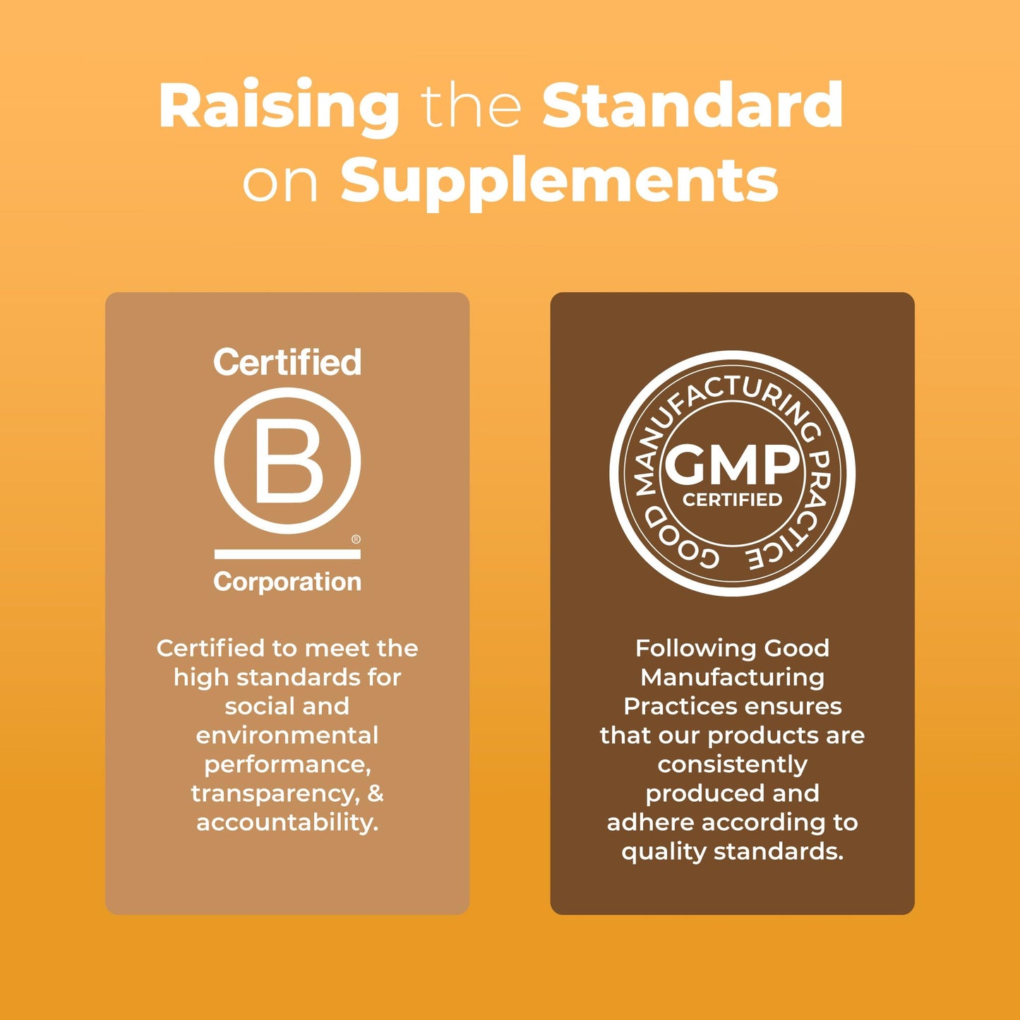 MaryRuth Organics Lions Mane Supplement | Ultra Absorption Liposomal | Full Spectrum Lion's Mane Mushroom | 200mg Beta-Glucans Per Serving | USDA Organic | Vegan | 7.6 oz | 15 Servings - Maple Wellness Supplements