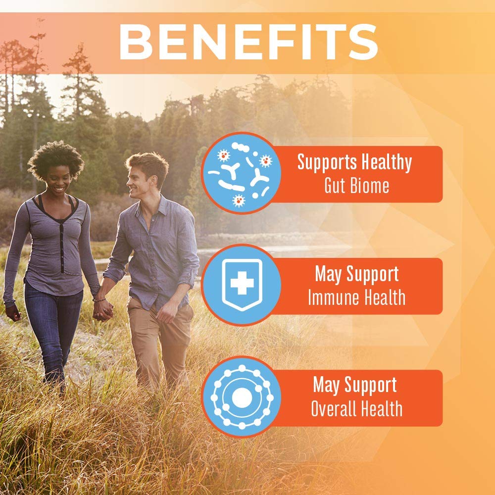 MaryRuth Organics Probiotic Turmeric + Extra GI Support | 62 Billion CFU | Organic Ingredients Turmeric Complex with Probiotics | Turmeric Curcumin Capsules for Digestion | Vegan | 60 Count - Maple Wellness Supplements