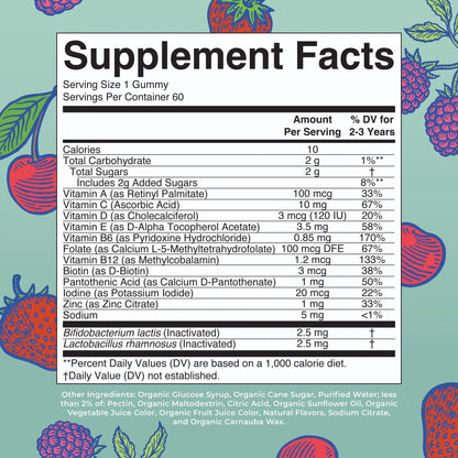 MaryRuth Organics Toddler Multivitamin Gummies + Postbiotics | USDA Organic | Vitamins for Kids Ages 2+ | Immune Support | Vitamin C | Vitamin D3 | Vitamin A | Zinc | Vegan | Non-GMO | 60 Servings - Maple Wellness Supplements