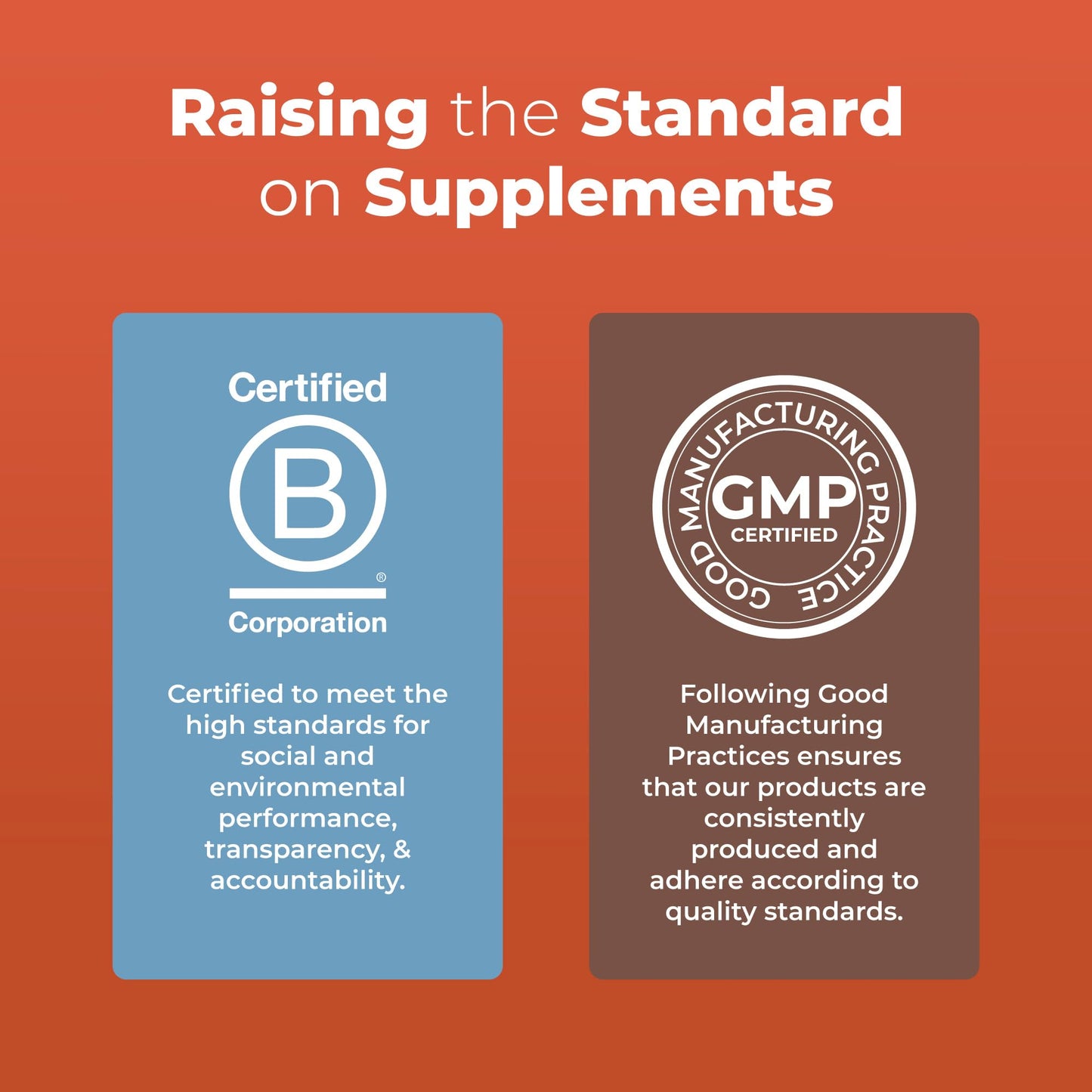 MaryRuth Organics Turkey Tail Mushroom Supplement | Ultra Absorption Liposomal | Full Spectrum | 200mg Beta-Glucans Per Serving | Vegan | 7.6 oz | 15 Servings - Maple Wellness Supplements