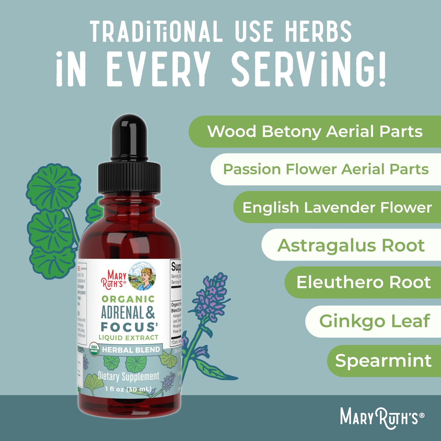 MaryRuth Organics - USDA Organic Brain Nootropic Supplement for Adults with Ginkgo Biloba & Astragalus | Focus & Adrenal Support | Brain & Memory Drops | Vegan | Non-GMO | Gluten Free | 30 Servings - Maple Wellness Supplements