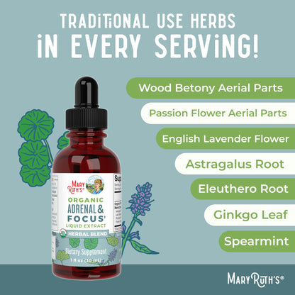 MaryRuth Organics - USDA Organic Brain Nootropic Supplement for Adults with Ginkgo Biloba & Astragalus | Focus & Adrenal Support | Brain & Memory Drops | Vegan | Non-GMO | Gluten Free | 30 Servings - Maple Wellness Supplements