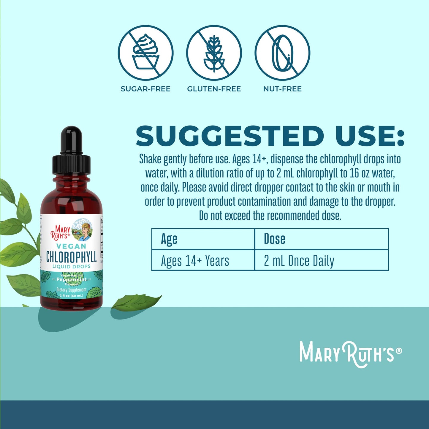 MaryRuth's Chlorophyll Liquid Drops | Clean Label Project Certified® | Vegan | Non-Diluted Liquid Chlorophyll| Mulberry Derived Supplement for Ages 14+ | Non-GMO | Delicious Minty Flavor | 2 Fl Oz - Maple Wellness Supplements