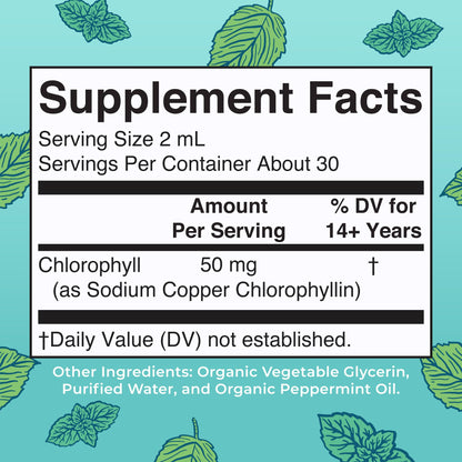 MaryRuth's Chlorophyll Liquid Drops | Clean Label Project Certified® | Vegan | Non-Diluted Liquid Chlorophyll| Mulberry Derived Supplement for Ages 14+ | Non-GMO | Delicious Minty Flavor | 2 Fl Oz - Maple Wellness Supplements