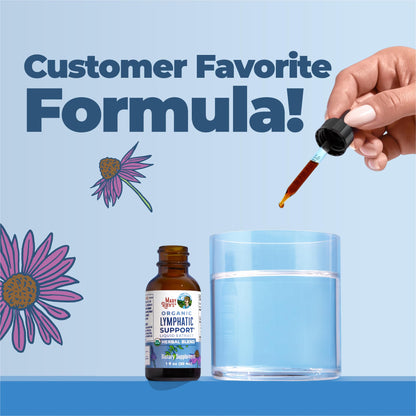 MARYRUTH'S Lymphatic Support Liquid Drops USDA Organic | Herbal Blend with Echinacea & Elderberry | Blue Vervain - Maple Wellness Supplements